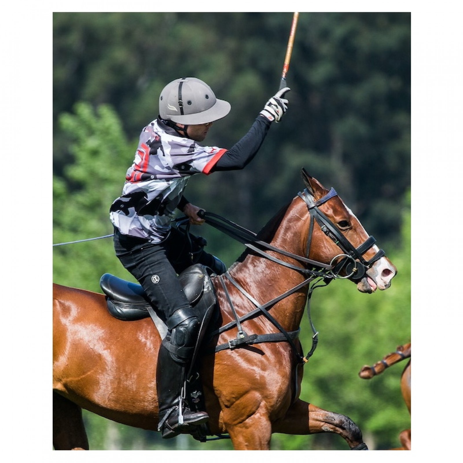 Polo pants with deals horses all over